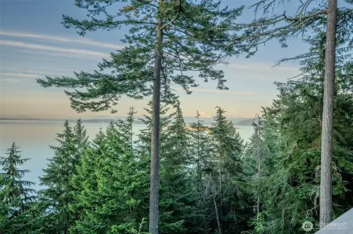 Beautiful Mt. Baker views.
