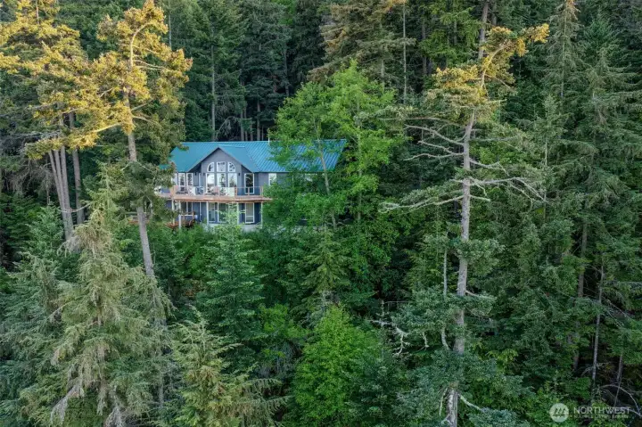 Private setting surrounded by evergreens.