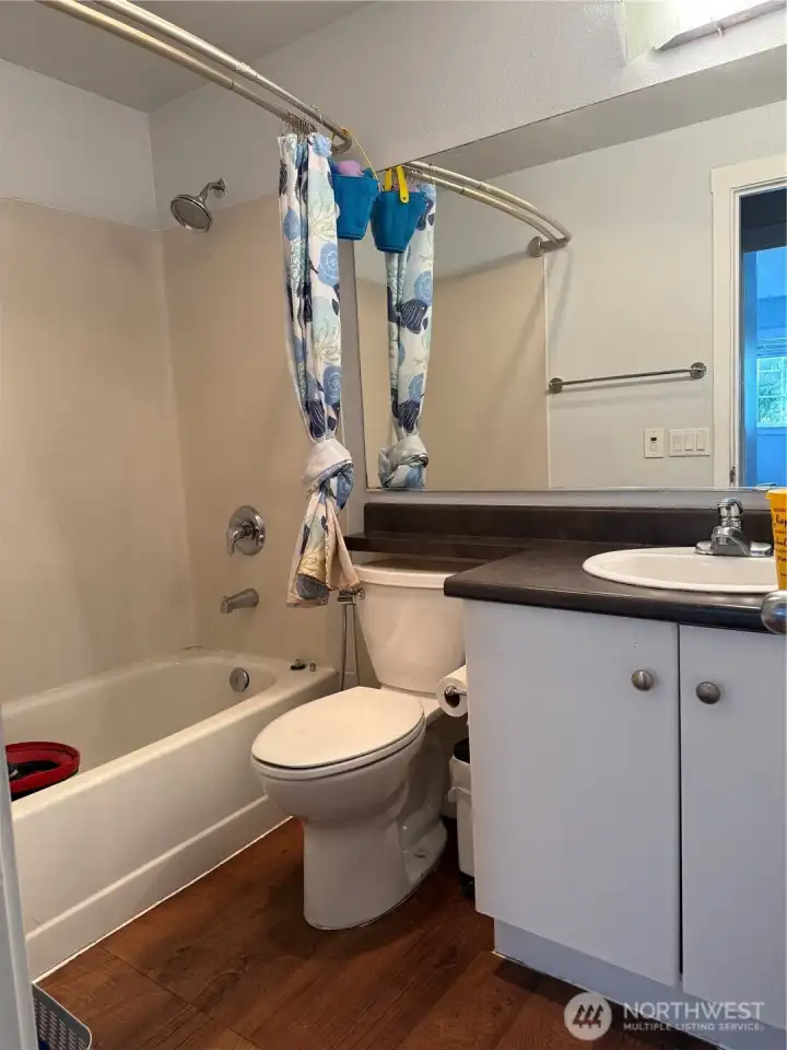 Master bathroom