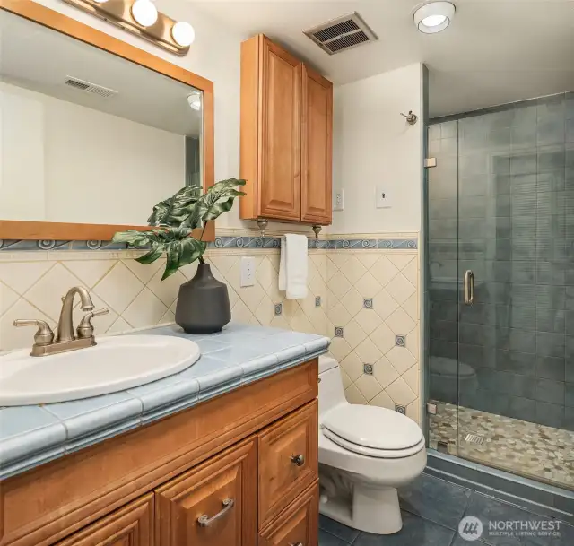 This 3/4 bathroom complements the lower level.
