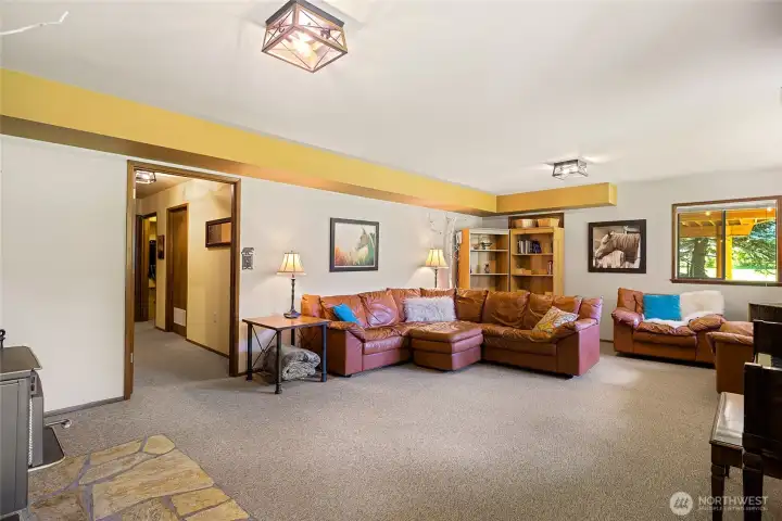 Lower Level Living