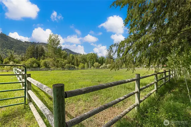 Green Pastures