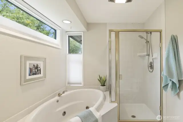 Peaceful primary bath tub and shower.