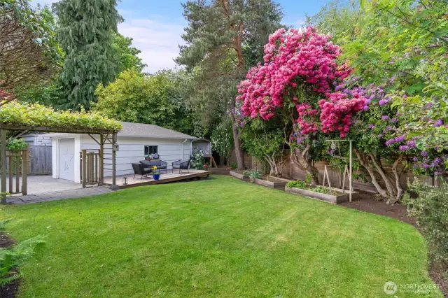 Oversized Backyard w/ Detached Garage