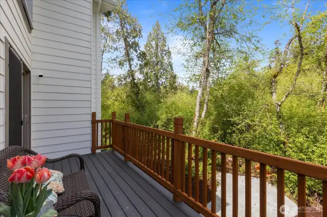 Sitting on the deck literally feels like you're in a treehouse.