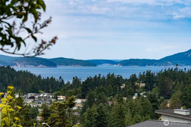 View from back deck