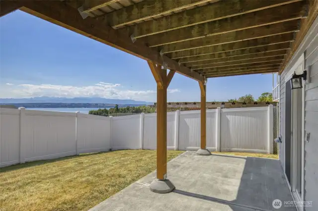 Back yard