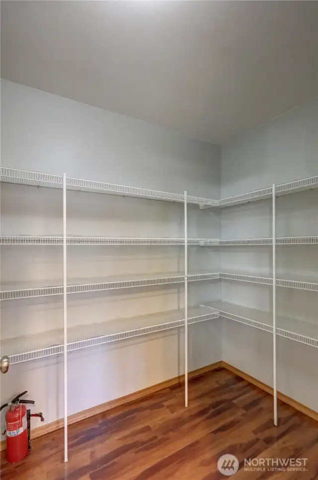 Walk-in pantry featuring abundant shelving and ample room for storage and organization
