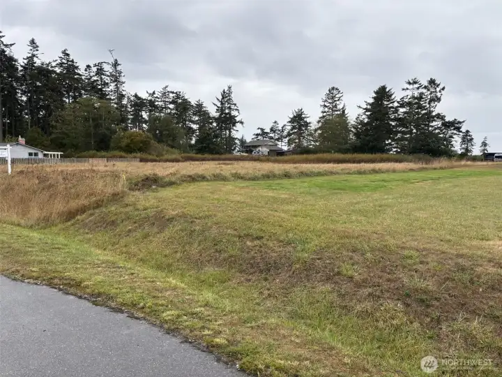 Border line is where the grass is not mowed.