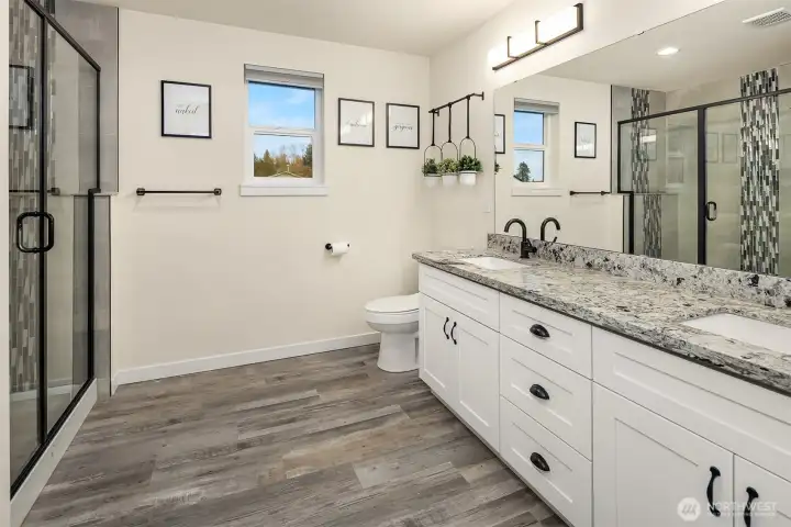 Beautiful Primary bathroom