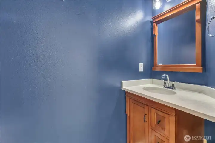 Main Floor half bath with upgraded cabinets, countertop and bidet