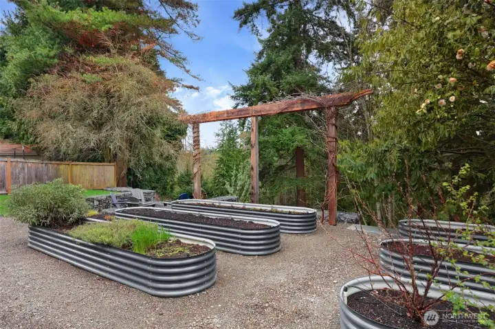 Already taken root in these durable corrugated steel raised beds (or nearby) are strawberries, chives, parsley, oregano, thyme, sage, bush raspberries, white currant, purple gooseberries, blueberries, winter savory and a fig tree! All of this on a drip line for easy keeping.