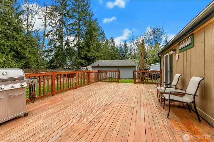 Large Back Deck