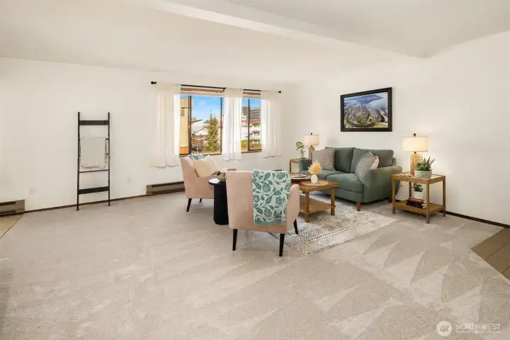 Space for Large Oversized Furniture