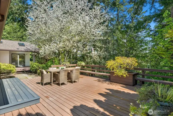 Large entertainment deck