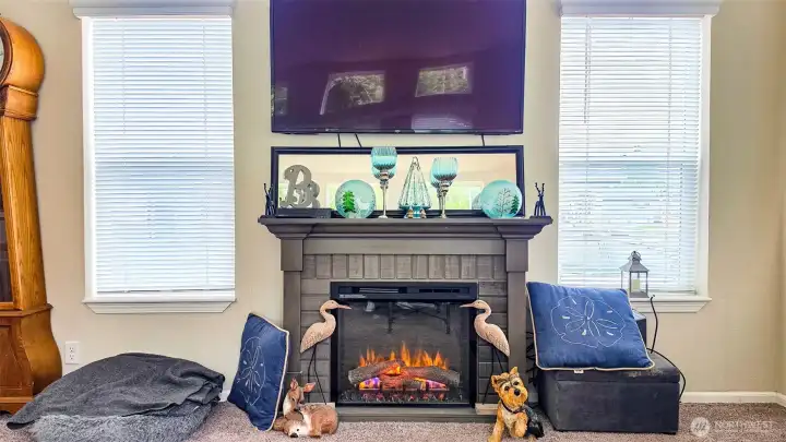 Electric fireplace unit for ambiance, included