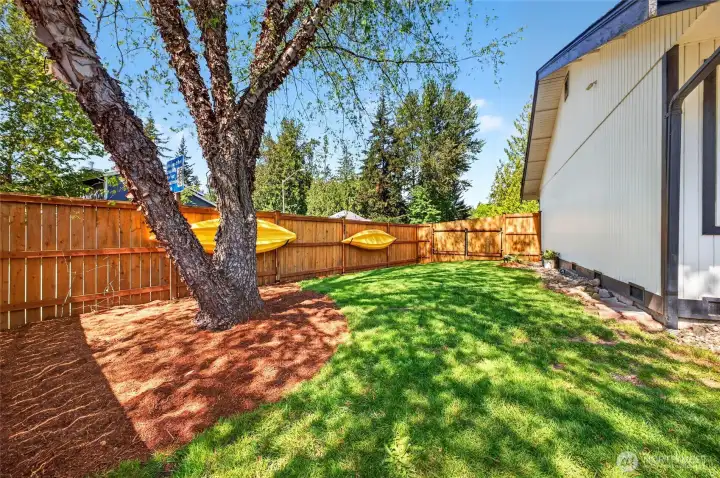 side yard w/gate. Great for boat storage