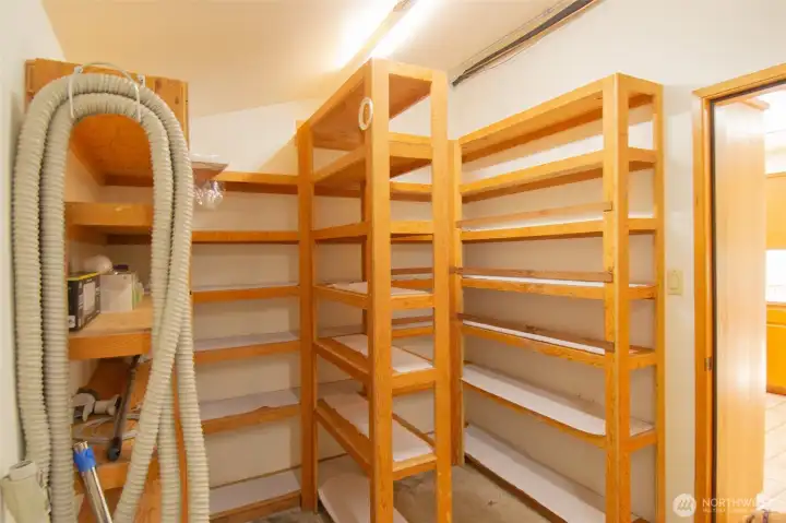 Loads of storage in pantry
