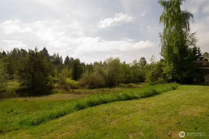 View of former blueberry farm and peatbog