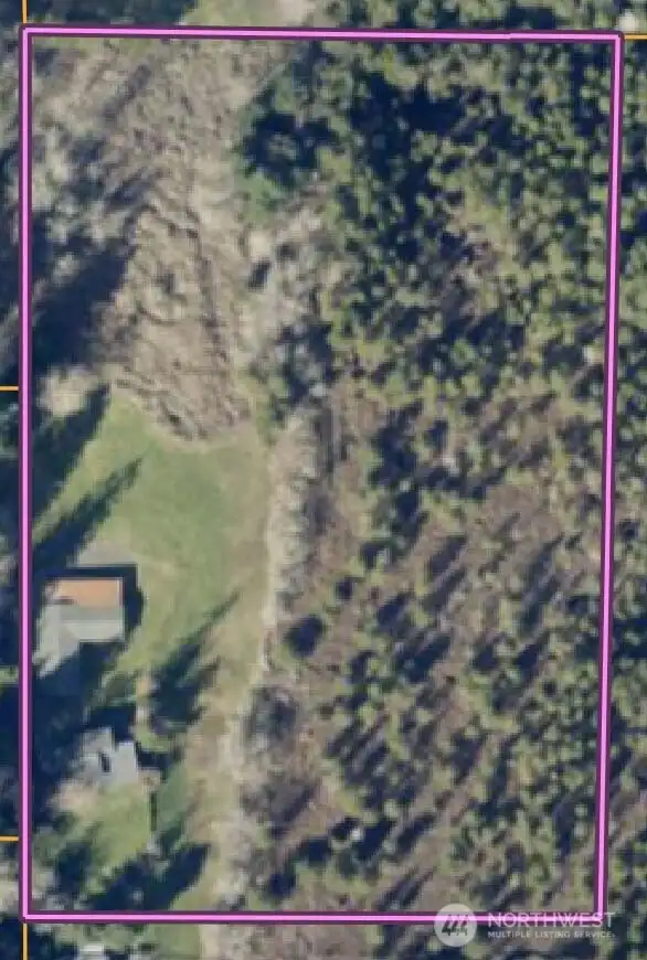 Parcel view, peat bog is lower elevation east of home Parcel view, peat bog is lower elevation east of home