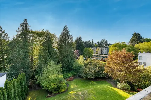 The rear yard space is there for you to enjoy flooded with natural green space, territorial views and a quick walk to downtown bellevue's thriving Main Street amenities.