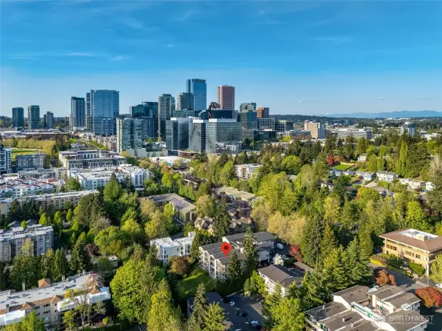 The placement of this condo is ideal for city dwellers. Quick walk and you're on main street, local parks, eateries, the mall and Lincoln Square. Easy commute whether your walking , driving, public transit or biking...you cannot beat this location!