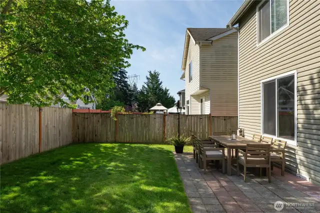 Another view of backyard.