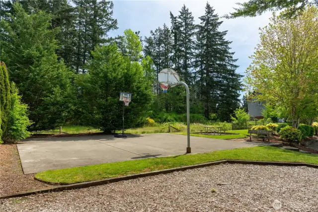 Community basketball court.