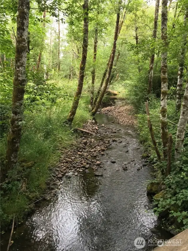 Campbell Creek