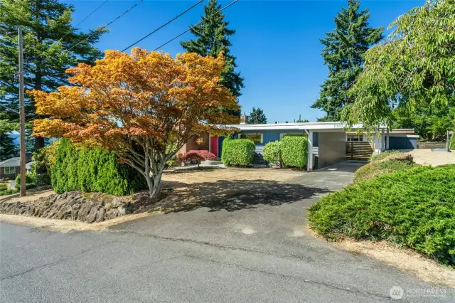 Clean lines and mid century curb appeal.