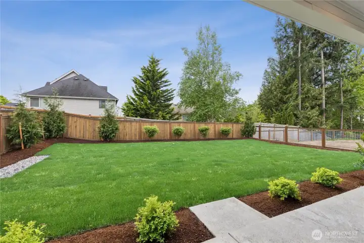 Large, level backyard.