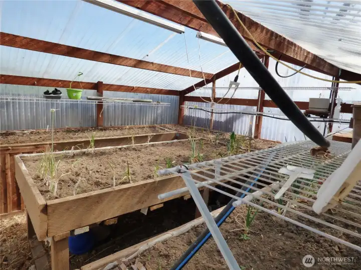 Inside the greenhouse