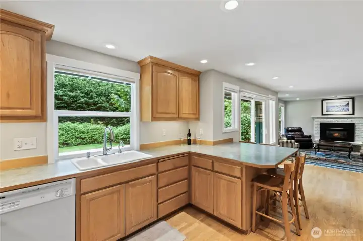 Lovely kitchen sink to view the large back yard.