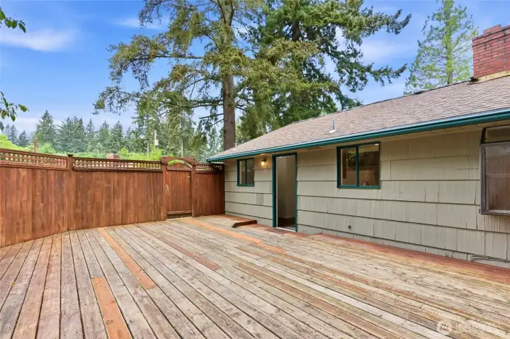 Back deck