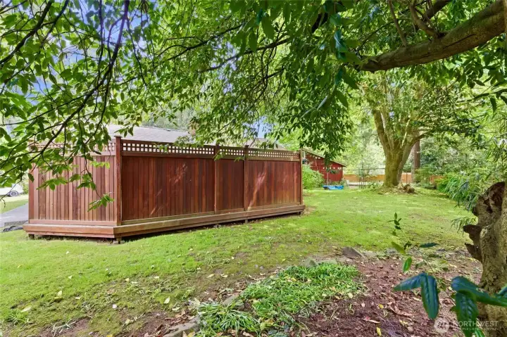 Backyard