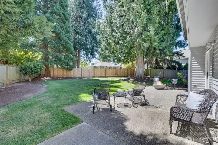 Expansive patio!