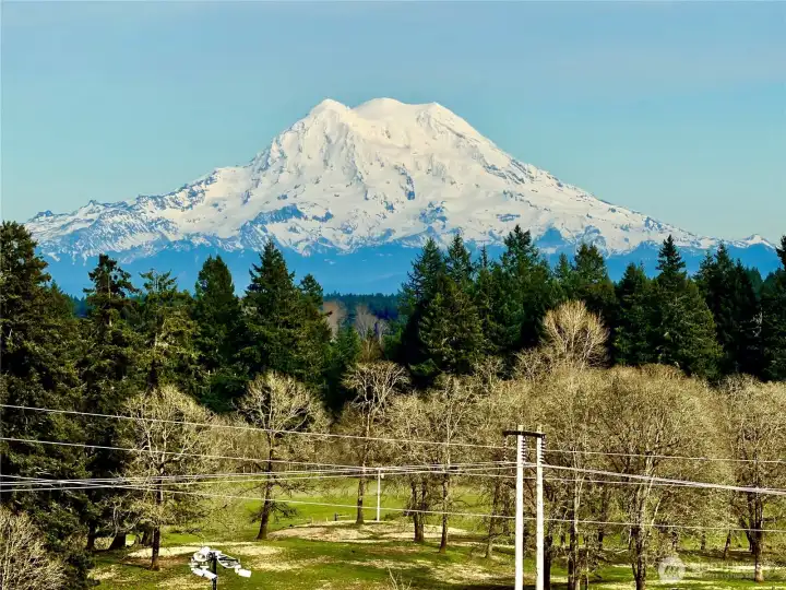 Enjoy Mt Rainier on a clear day!