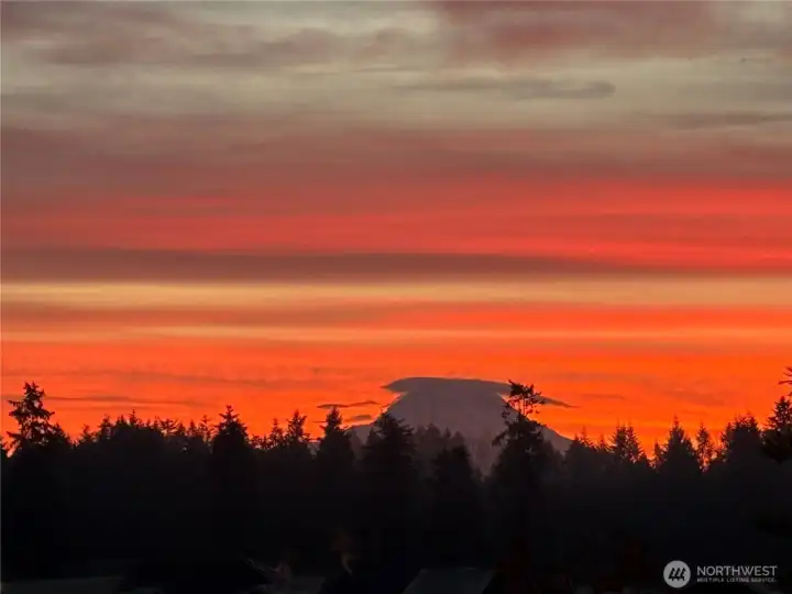 Can you picture yourself enjoying this view from the back deck?