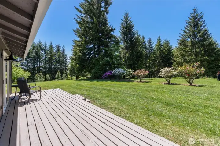 Large back deck! Large back deck!