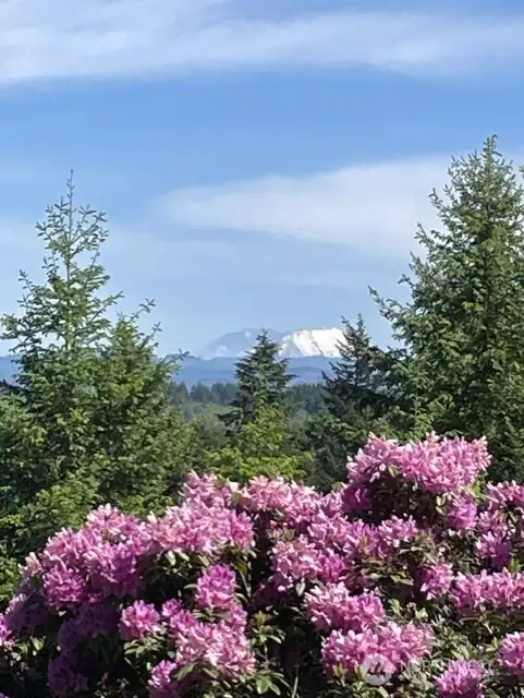 Mt St Helens Mt St Helens