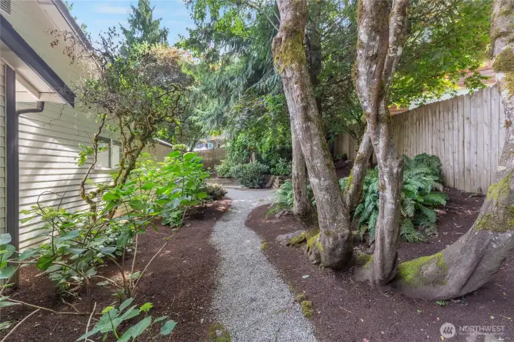 side yard side yard