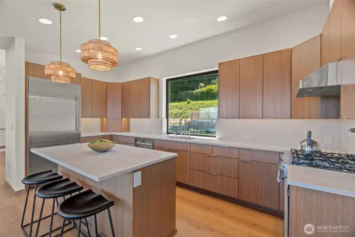 Dream Kitchen High End Appliances