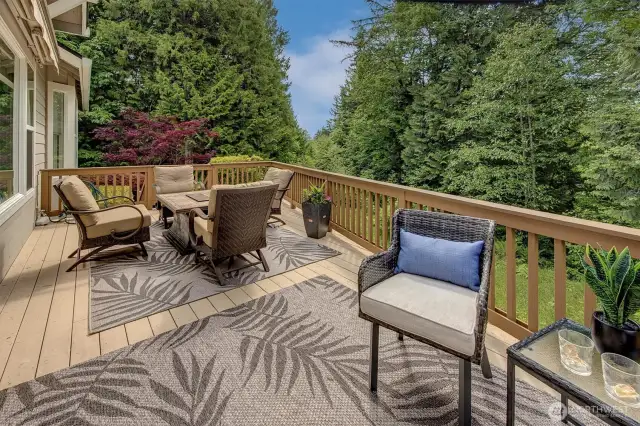 Entertainment sized low maintenance composite deck overlooking Greenbelt