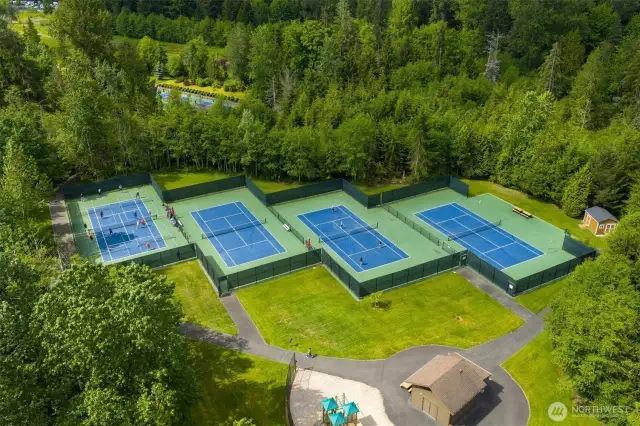 Pickleball, Tennis. Too many activities...too little time