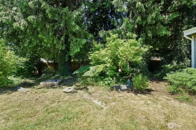 Pretty little wooded area.