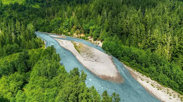 Walk just over the creek and you'll get to the Sauk River!