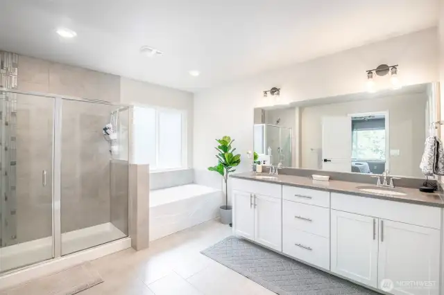 Gorgeous Primary Bathroom