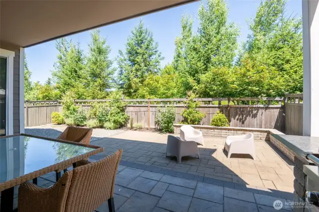 Back area is the perfect gathering spot for friends & familly