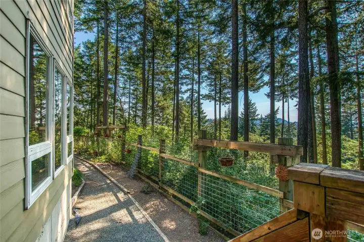Fenced garden space
