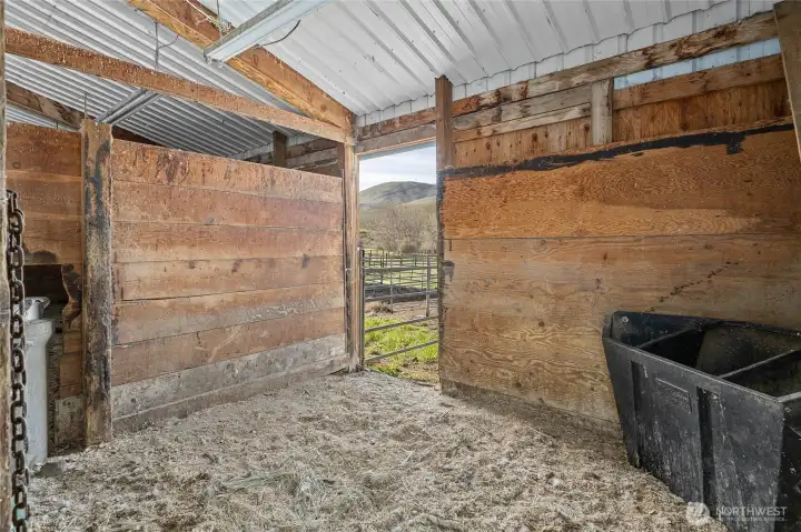 Run out stalls on the south side of the barn